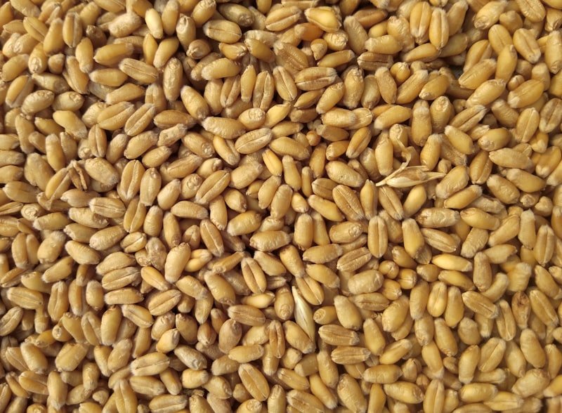 Flour Mill Production